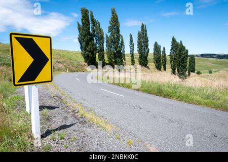 Kurve auf der Landstraße, die zu einer Reihe von Pappelbäumen führt, Lindsay Road, nahe Waipukurau, Central Hawkes Bay, North Island, Neuseeland Stockfoto