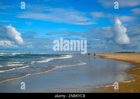 Holkham Bay und Strand North Norfolk Stockfoto