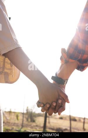 Nahaufnahme eines afroamerikanischen Paares, das an einem sonnigen Tag auf dem Land Händchen hielt. Land-, Natur- und Lifestyle-Konzept. Stockfoto