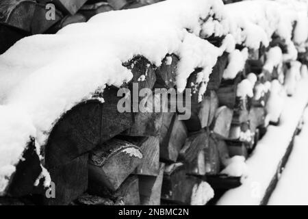 Schneestämme, schwarz-weiß. Gehacktes Holz unter Schnee. Hartholz auf verschneitem Hinterhof. Winter im Dorf. Ein Haufen Brennholz. Ökologischer Kraftstoff. Stockfoto