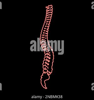 Neon Wirbelsäule Wirbelsäule Rückgrat rot Farbvektor Abbildung flaches Licht Stock Vektor