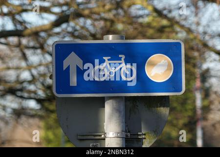 Schild, das einen gemeinsamen Radweg und einen Fußgängerweg darstellt Stockfoto