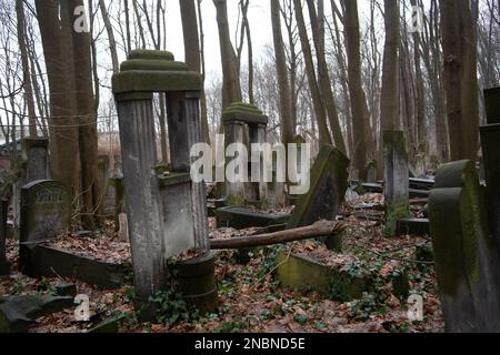 Gräber auf dem Warschauer jüdischen Friedhof - einer der größten jüdischen Friedhöfe in Europa und der Welt, Okopowa Straße, Warschau Polen Stockfoto