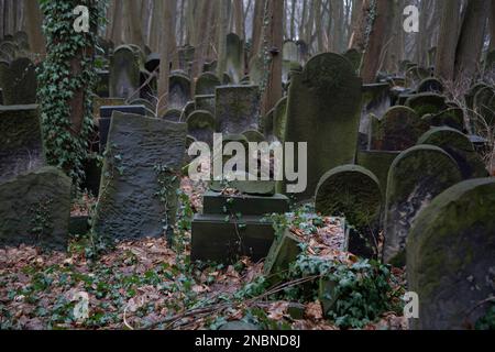 Gräber auf dem Warschauer jüdischen Friedhof - einer der größten jüdischen Friedhöfe in Europa und der Welt, Okopowa Straße, Warschau Polen Stockfoto