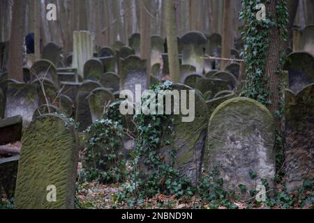 Gräber auf dem Warschauer jüdischen Friedhof - einer der größten jüdischen Friedhöfe in Europa und der Welt, Okopowa Straße, Warschau Polen Stockfoto