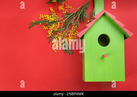 Wunderschönes Vogelhaus und Mimosablumen auf rotem Hintergrund, flach liegend. Platz für Text Stockfoto