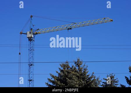 Hoher Turmkran auf der Baustelle, blauer Himmelshintergrund. Fichte im Vordergrund Stockfoto