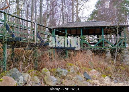 Holzdach, Sitzecke in Grün. Holzsteg mit Geländern. Stockfoto