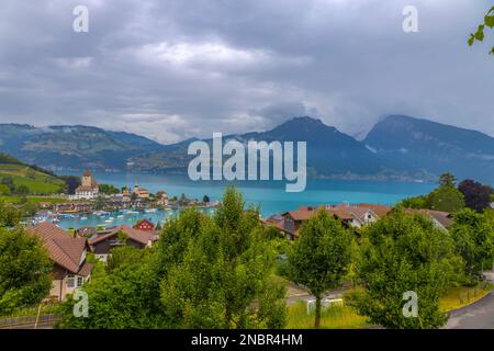 Blick auf das Dorf Spiez am Thunsee im Berner Oberland, Schweiz Stockfoto