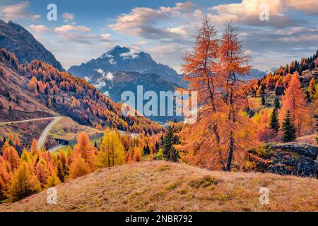 Herrlicher Blick am Morgen auf die Dolomiten mit gelben Lärchen und kurviger Straße im Hintergrund. Wundervolle Herbstszene im Bergtal, Giau Pass Lo Stockfoto