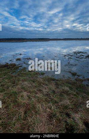 Die Reflexion des Nachthimmels im Wasser auf einer Wiese in Czulczyce, Ostpolen Stockfoto