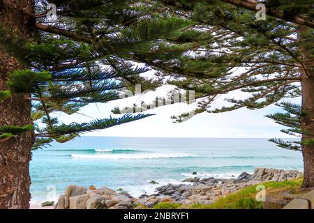 Stoneys Surf Break Stockfoto