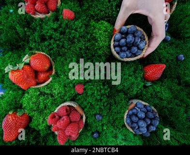 Nürnberg, Deutschland. 14. Februar 2023. Bio-Beeren werden auf der Biofach-Messe am Stand der ukrainischen Firma Eco Berry ausgestellt, die sich auf den Anbau, die Verarbeitung und das Einfrieren von Beeren spezialisiert hat. Vom 14. Bis 17. Februar 2023 werden auf der weltweit führenden Fachmesse für Biofach und VIVANESS für natürliche Kosmetika 2765 Aussteller aus 95 Ländern Produkte der Bio-Lebensmittel- und Naturkosmetikindustrie präsentieren. Kredit: Daniel Karmann/dpa/Alamy Live News Stockfoto