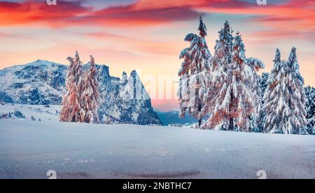 Panoramablick am Morgen auf das Dorf Alpe di Siusi. Farbenfroher Sonnenaufgang im Winter in den Dolomiten. Unglaubliche Landschaft von Skigebiet, Ityaly, Europa. Schönheit Stockfoto