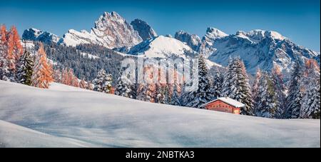 Frischer Schnee, der in der Sonne funkelt. Atemberaubende Herbstszene der Dolomiten mit der ersten schneebedeckten Lärche und Tannen. Schöner Blick auf die Alpe di Siusi am Morgen Stockfoto