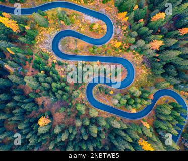 Luftaufnahme der kurvenreichen Straße im Herbstwald. Herrliche morgendliche Szene von Asphaltstraße zwischen Tannen und Lärchen. Highway durch die Wälder in fal Stockfoto