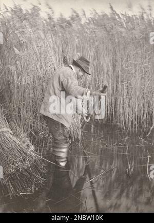 Peter Henry Emerson - Leben und Landschaft auf den Norfolk Broads - 1886 - Ein Schilfschneider bei der Arbeit Stockfoto