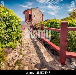 Fesselnder Blick am Vormittag auf Schloss Petrela. Beeindruckende Frühlingsszene von Albanien, Europa. Wunderschöne Welt der Mittelmeerländer. Reisekonzept b Stockfoto