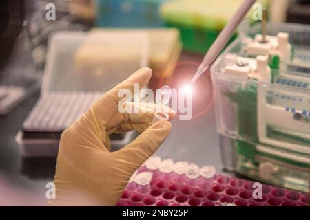 Die Western-Blot-Analyse als Proteinanalyse zum Proteinnachweis. Diese Technik wird in medizinischen oder Forschungslabors verwendet. Außerdem erkennt die Methode HIV Stockfoto