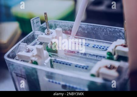 Die Western-Blot-Analyse als Proteinanalyse zum Proteinnachweis. Diese Technik wird in medizinischen oder Forschungslabors verwendet. Außerdem erkennt die Methode HIV Stockfoto