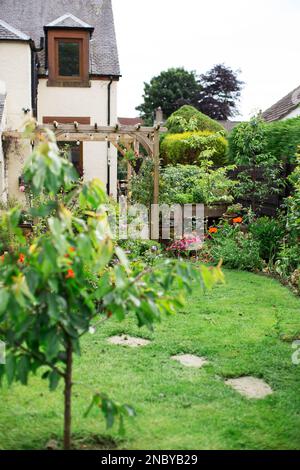 Stepping Stone Garden Path 1 Stockfoto