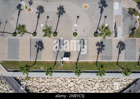 Palmen an einer Küste namens Molos von Limassol Stadt im Inselland Zypern Stockfoto