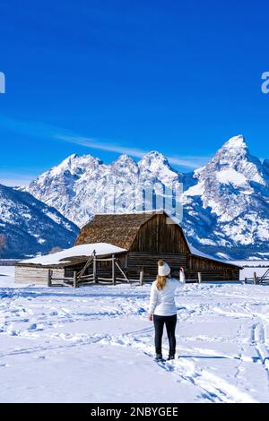 Frau macht Fotos mit ihrem Phone Moulton Barn, Mormon Row im Winter mit viel Schnee und eiskaltem Grand Teton Nationalpark, Wyoming, USA Stockfoto