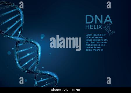 DNA-Helix. Medizin und biologische Forschung. Wissenschaftlicher Hintergrund. Biotechnologie und moderne Genomik-Drahtmodelle. Chromosomenmoleküle verdrehte Kette. Gene-Struktur. Blaue Spirale. Konzept der Vektordarstellung Stock Vektor
