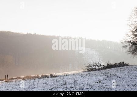 Europa, Luxemburg, Septfontaines, Blick auf Farmland entlang des Eisch-Tals (Äischdall) an einem Wintermorgen Stockfoto