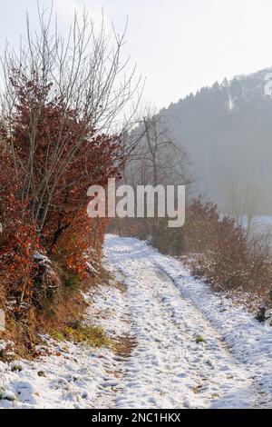 Europa, Luxemburg, Septfontaines, Wanderweg entlang der Äischdall (Eisch Valley) im Winter Stockfoto