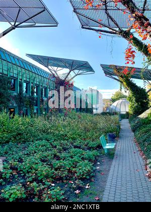Großer Hüttengarten mit Sonnenkollektoren und Backsteingasse Stockfoto