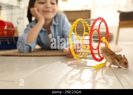 Das kleine Mädchen und ihr Hamster im Drehrad zu Hause, konzentrieren sich auf das Haustier Stockfoto