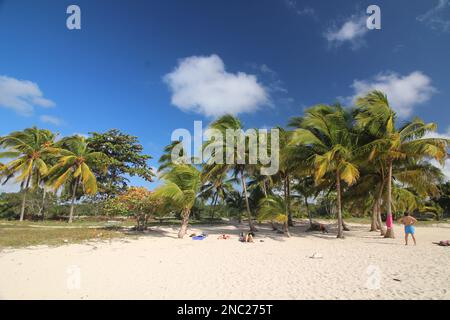 Strand in Bahía de Cochinos (Bay if Pigs), Kuba Stockfoto