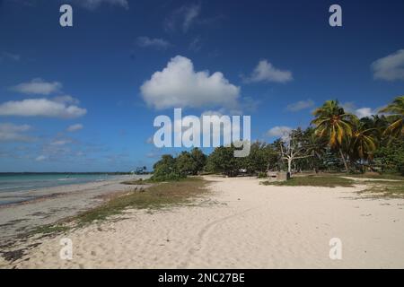 Strand in Bahía de Cochinos (Bay if Pigs), Kuba Stockfoto