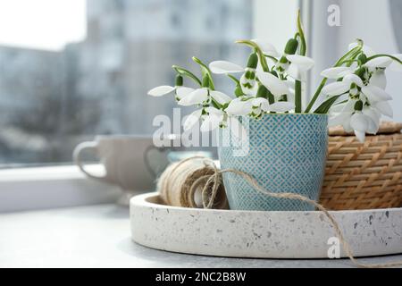 Wunderschöne Schneetropfen in Vase und Dekor auf einem hellen Tisch in der Nähe des Fensters. Platz für Text Stockfoto