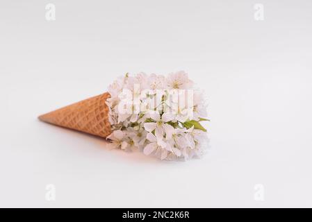 Blumeneis. Äste von Birnenbäumen mit wunderschönen Blumen in Waffelform auf weißem Hintergrund. Tolle Frühlingsblüte, Grußkarten. Frühling. Bereich Kopieren Stockfoto