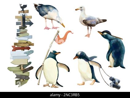 Darstellung von Tieren und Spediteuren am Südpol. Qualitativ hochwertige Darstellung Stockfoto