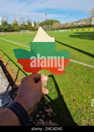 Die Hand hält ein Baumblatt mit der Flagge bulgariens Stockfoto