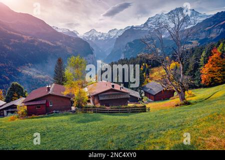 Fantastischer Herbstblick auf das Dorf Wengen, das Viertel Lauterbrunnen. Düstere Morgenszene der Schweizer Alpen. Malerische Herbstlandschaft in der Schweiz Stockfoto