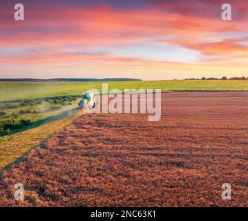 Mähdrescher auf dem Weizenfeld. Wunderbarer Sommerblick von der fliegenden Drohne der Weizenernte. Wunderschöne ländliche Landschaft am Stadtrand von Ternopil, Ukr Stockfoto