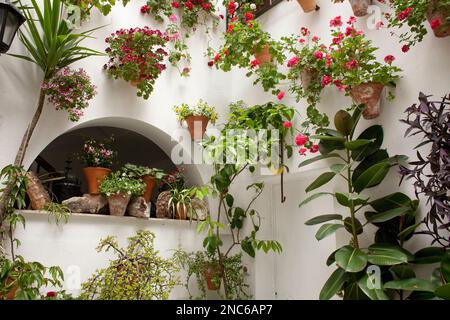 Andalusischer Hof Stockfoto