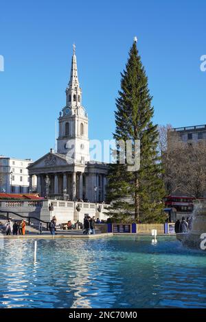 Weihnachtsbaum am Trafalgar Square, London England Vereinigtes Königreich UK Stockfoto