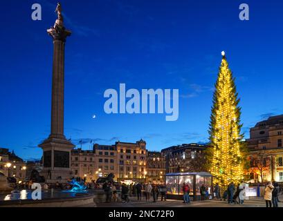 Weihnachtsbaum und Nelson Säule auf dem Trafalgar Square, London England Vereinigtes Königreich UK Stockfoto