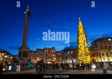 Weihnachtsbaum und Nelson Säule auf dem Trafalgar Square, London England Vereinigtes Königreich UK Stockfoto