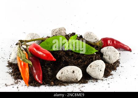 Konzeptionelle Darstellung heißer, hausgewachsener Chilischoten auf dem Boden Stockfoto