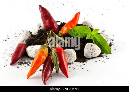 Konzeptionelle Darstellung heißer, hausgewachsener Chilischoten auf dem Boden Stockfoto