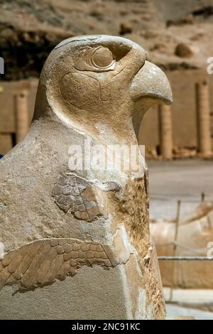 Tal der Königinnen, Luxor, Ägypten. Leichentempel der Königin Hatschepsut, 26. März 2013. DavidSmith/AlamyContributor Stockfoto