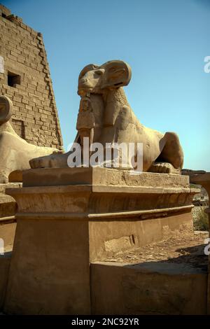 Luxor, Ägypten. Der Karnak Tempelkomplex besteht aus einer riesigen Mischung von verfallenen Tempeln. Dies ist der Haupteingang zum Tempel mit den Rams von Amon Stockfoto