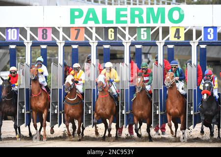 Pferderennen. Abflug, Start. Das Palermo Hippodrom. Buenos Aires, Argentinien. Stockfoto