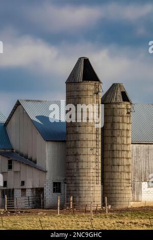 Hohe Silos und eine hölzerne Scheune, die wahrscheinlich jetzt im Besitz von Amish ist, in Mecosta County, Michigan, USA [Keine Freigabe von Eigentum; nur redaktionelle Lizenzierung] Stockfoto